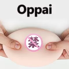 Diipoo Silicone Breast Insert Add-On for Dakimakura & Body Pillows